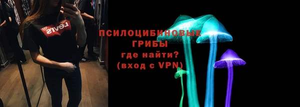 эйфоретик Аркадак