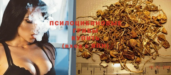 гашик Арсеньев